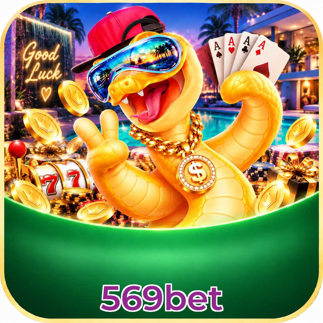 569bet Bet Odds Analysis