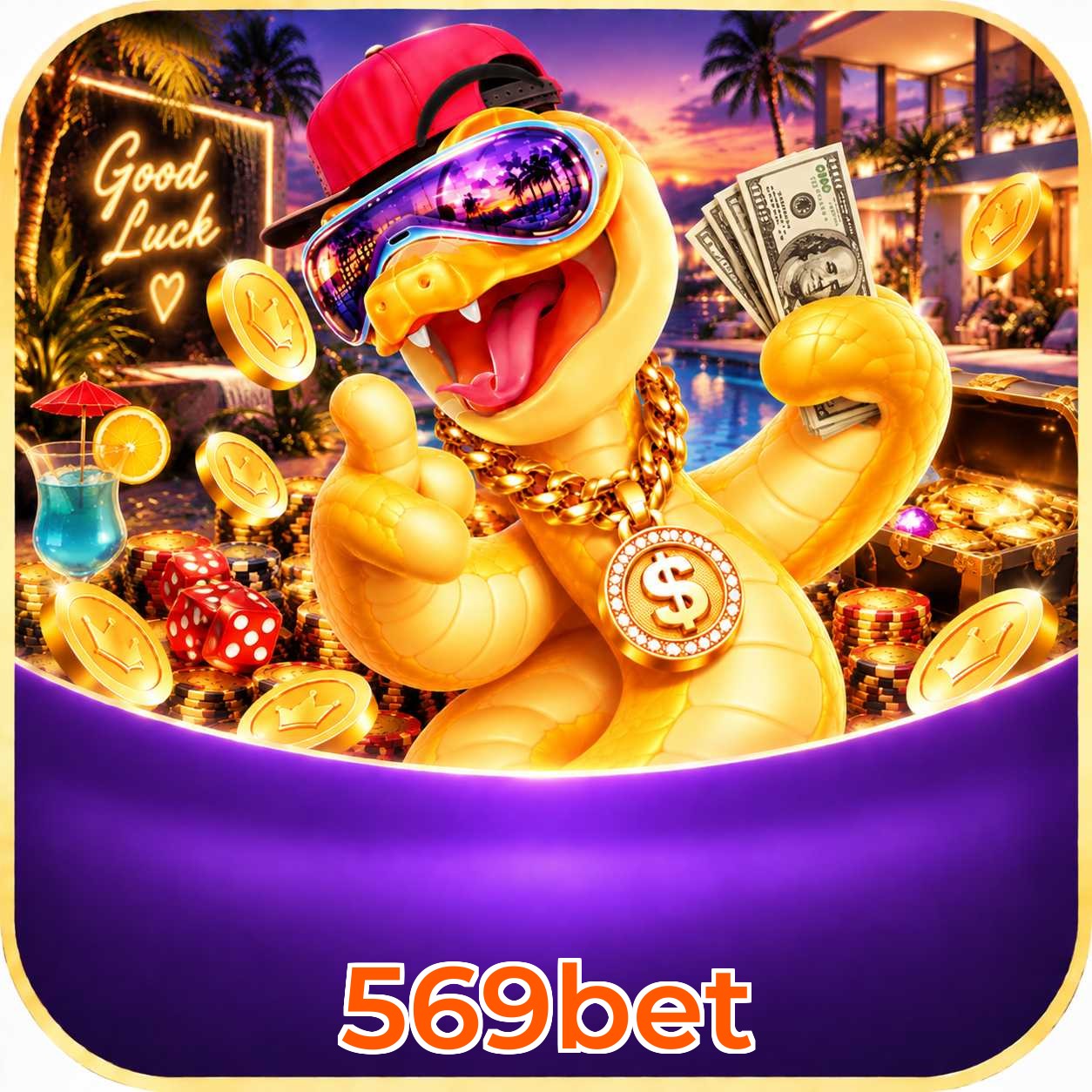 569bet Live Casino Overview